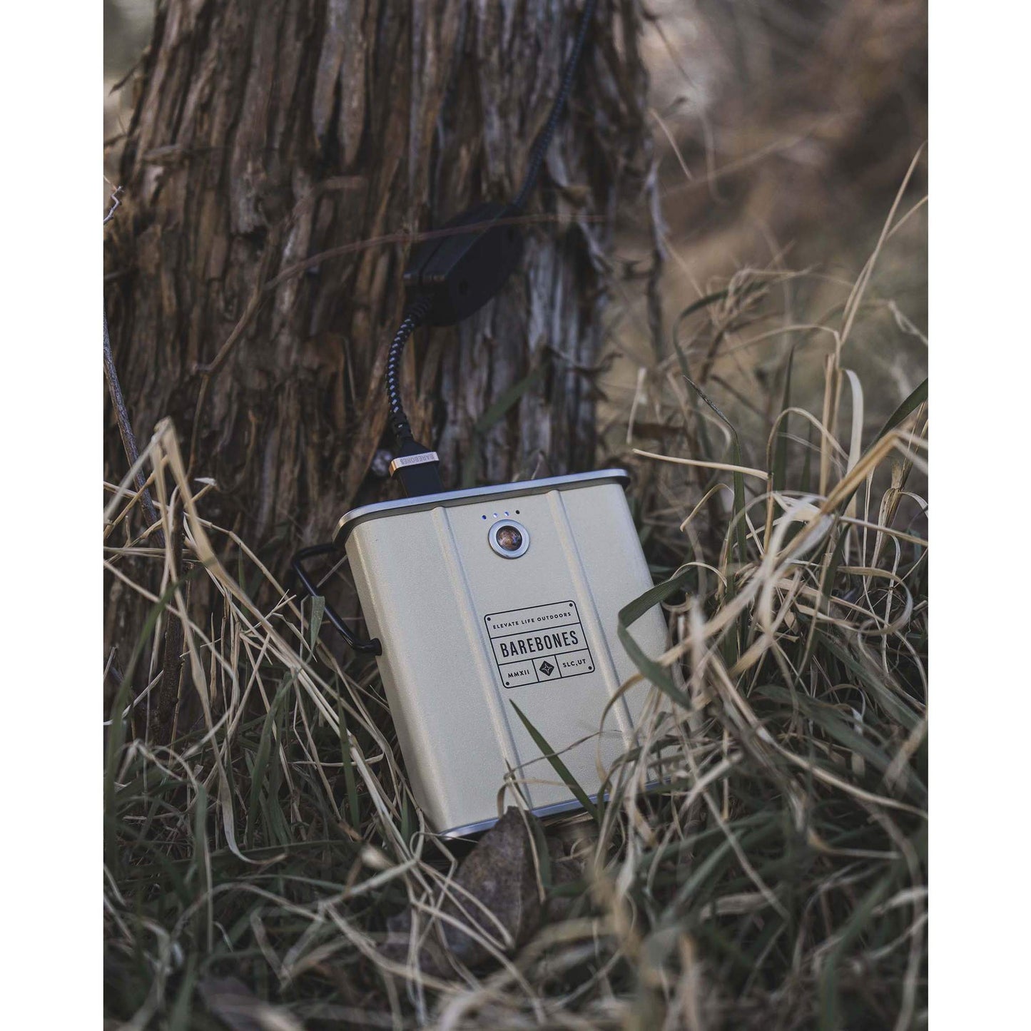 Barebones POWERBANK 10.000 MAH